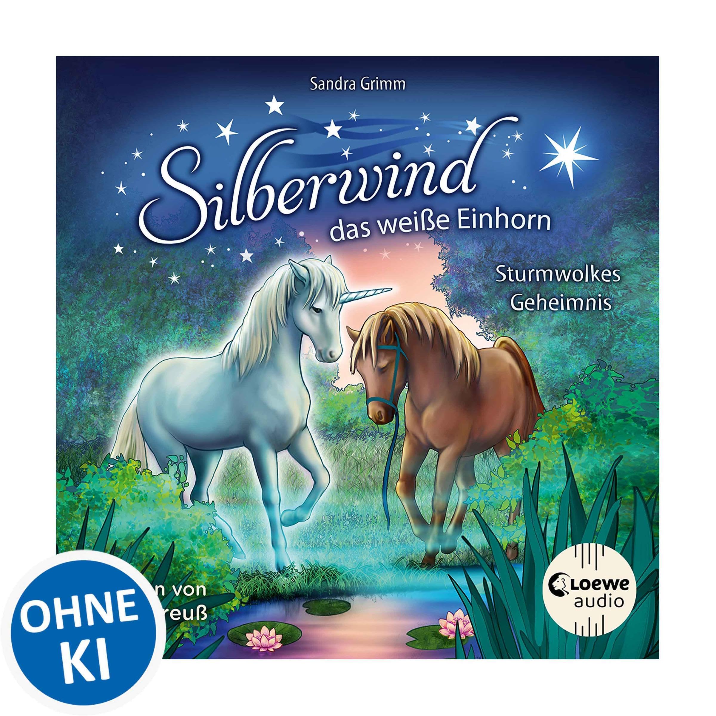 Cover art for Sturmwolkes Geheimnis