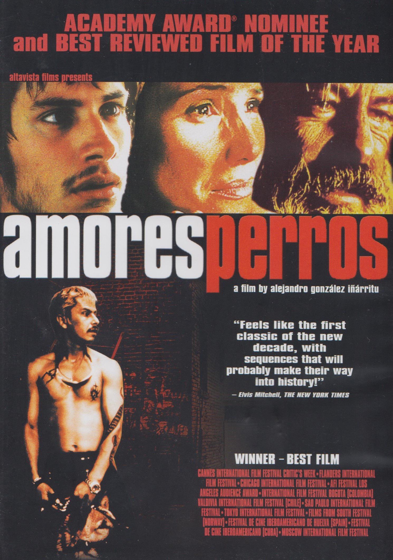 Amores Perros [DVD]