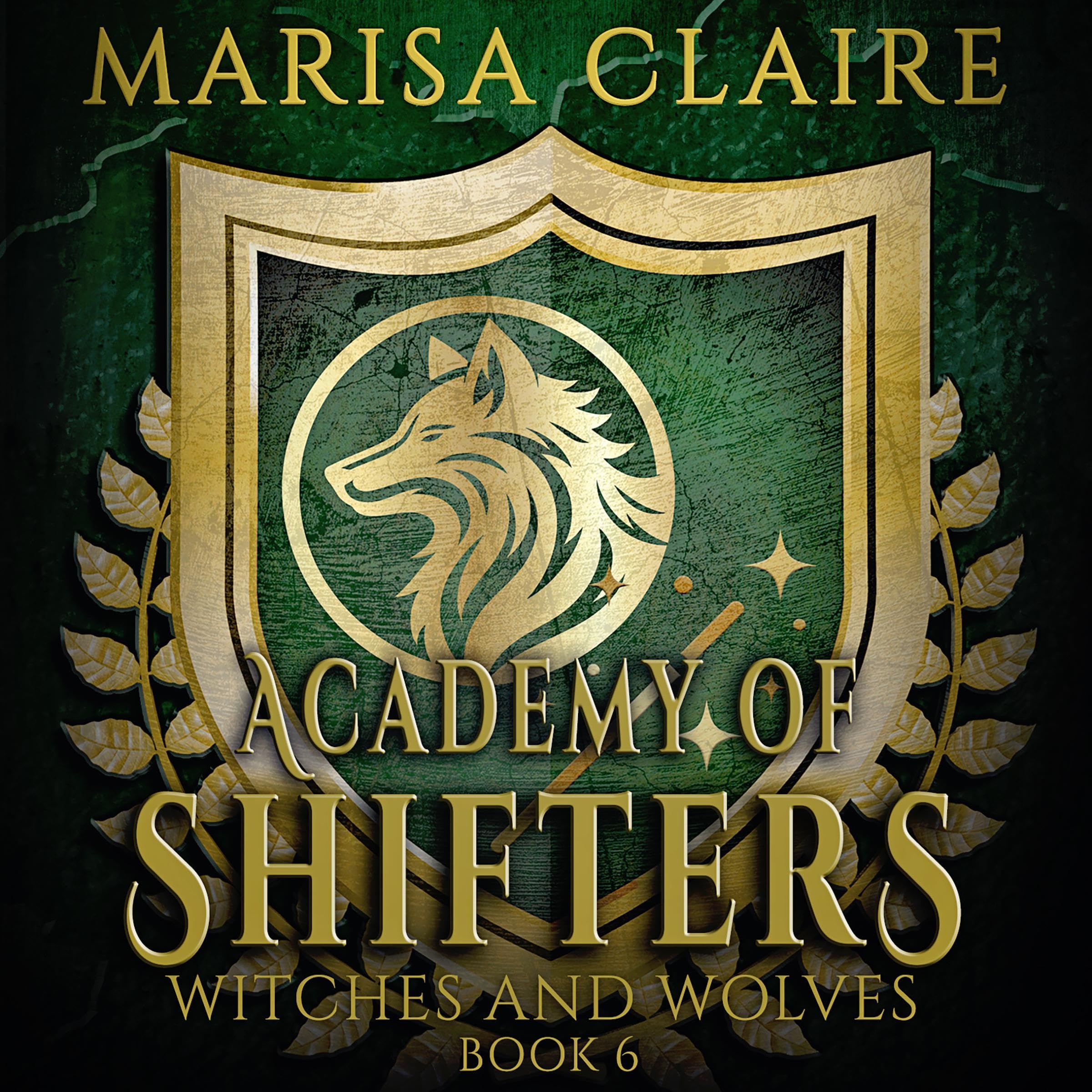 Cover art for Academy of Shifters: Witches and Wolves