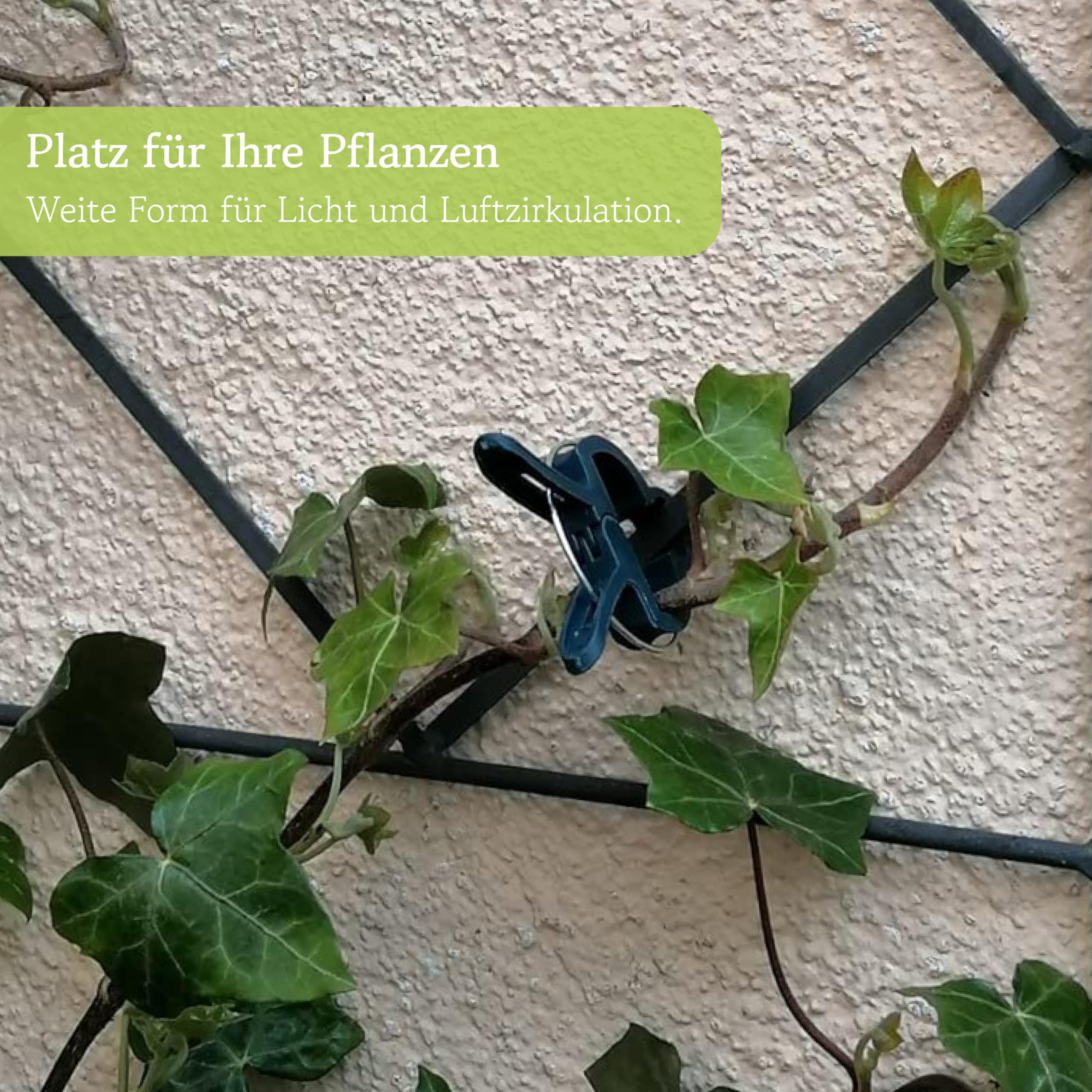 OwnGrown Pflanzen Klammern zum Pflanzen Binden: 20 Klammern fr Pflanzen  Gre L als Rankhilfe fr Pflanzen  fr Kletterpflanzen  Zimmerpflanzen  Grn, Pflanzen Clips Blumen : Amazon.de: Garten
