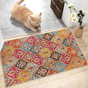 Moroccan Indoor Front Door Mats, Boho Colorful Small Welcome Mat 16.5x29.5 Inch, Non-Slip Floor Mats for Home Entryway Porch Hallway