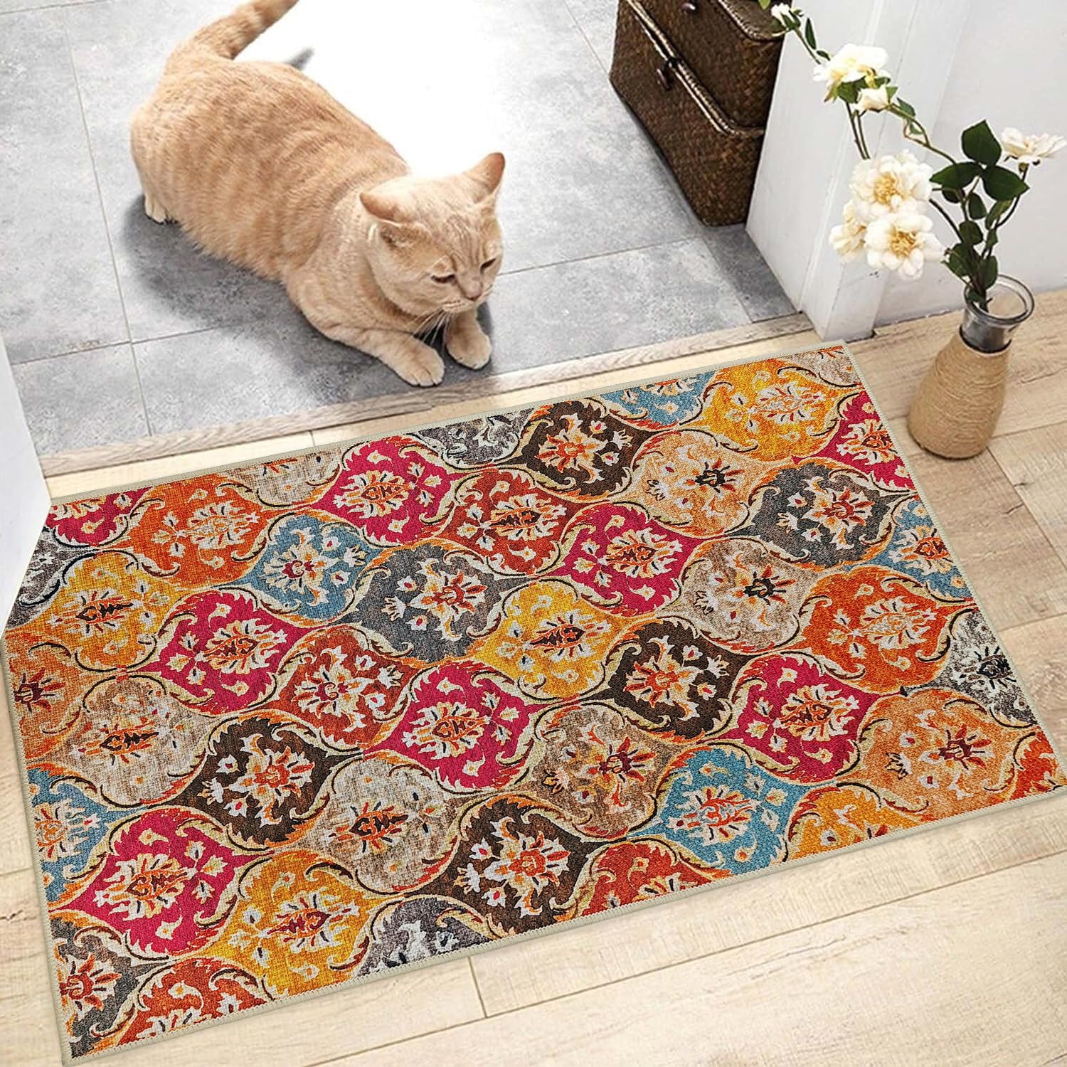 Brevoscht Moroccan Indoor Front Door Mats, Boho Colorful Small Welcome Mat 16.5x29.5 Inch, Non-Slip Floor Mats for Home Entryway Porch Hallway