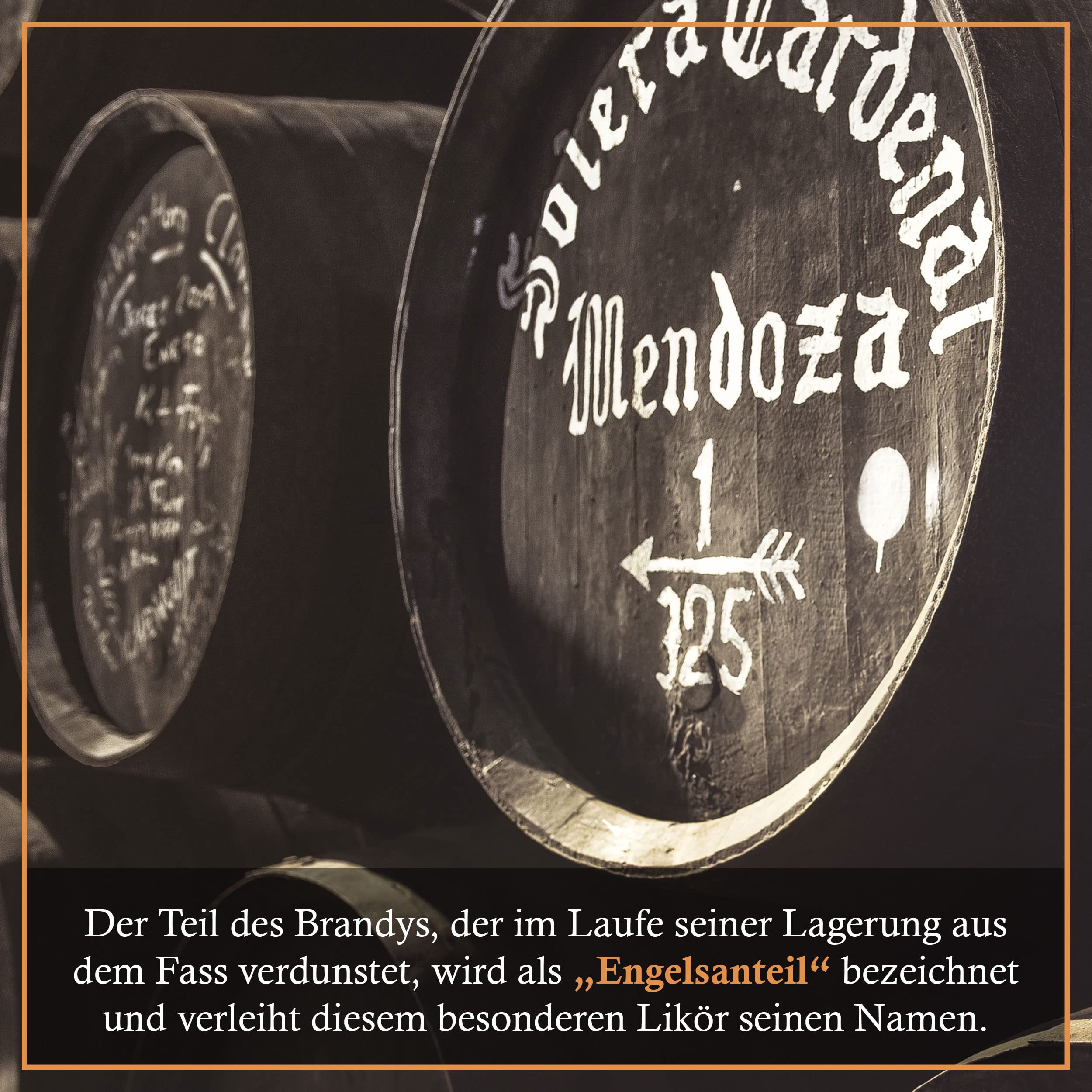 Cardenal Mendoza Angêlus Likör (3 x 0.7) 40% vol, Brandy Liquor der Spitzenklasse, mit frischen Citrus- und Gewürznoten aus Orangen, Zitronen, Nelken und Kardamon
