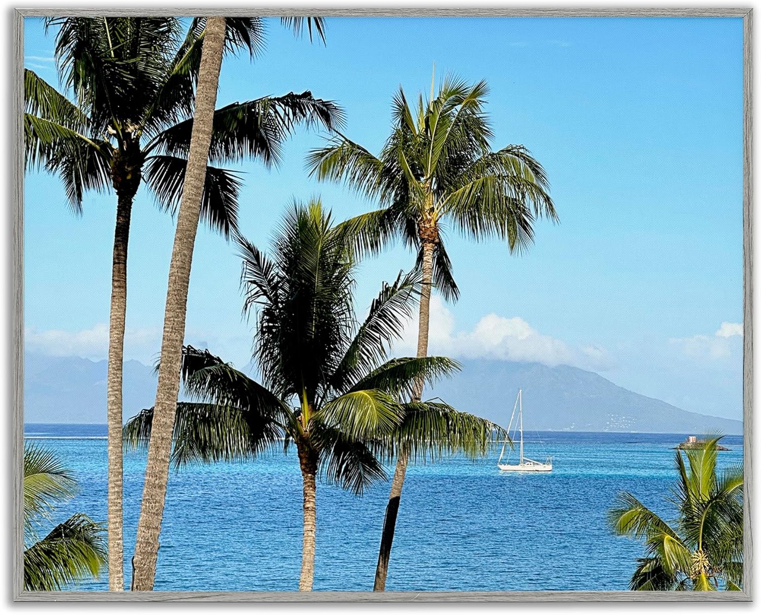 Stupell Industries Palm Trees & Sailboat Framed Giclee Art Design by Kali Wilson