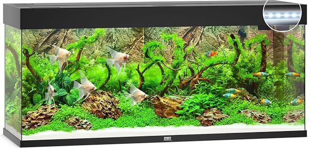 Foto 2 de 4 de Juwel Aquarium 03350 Rio 240 LED, Negro