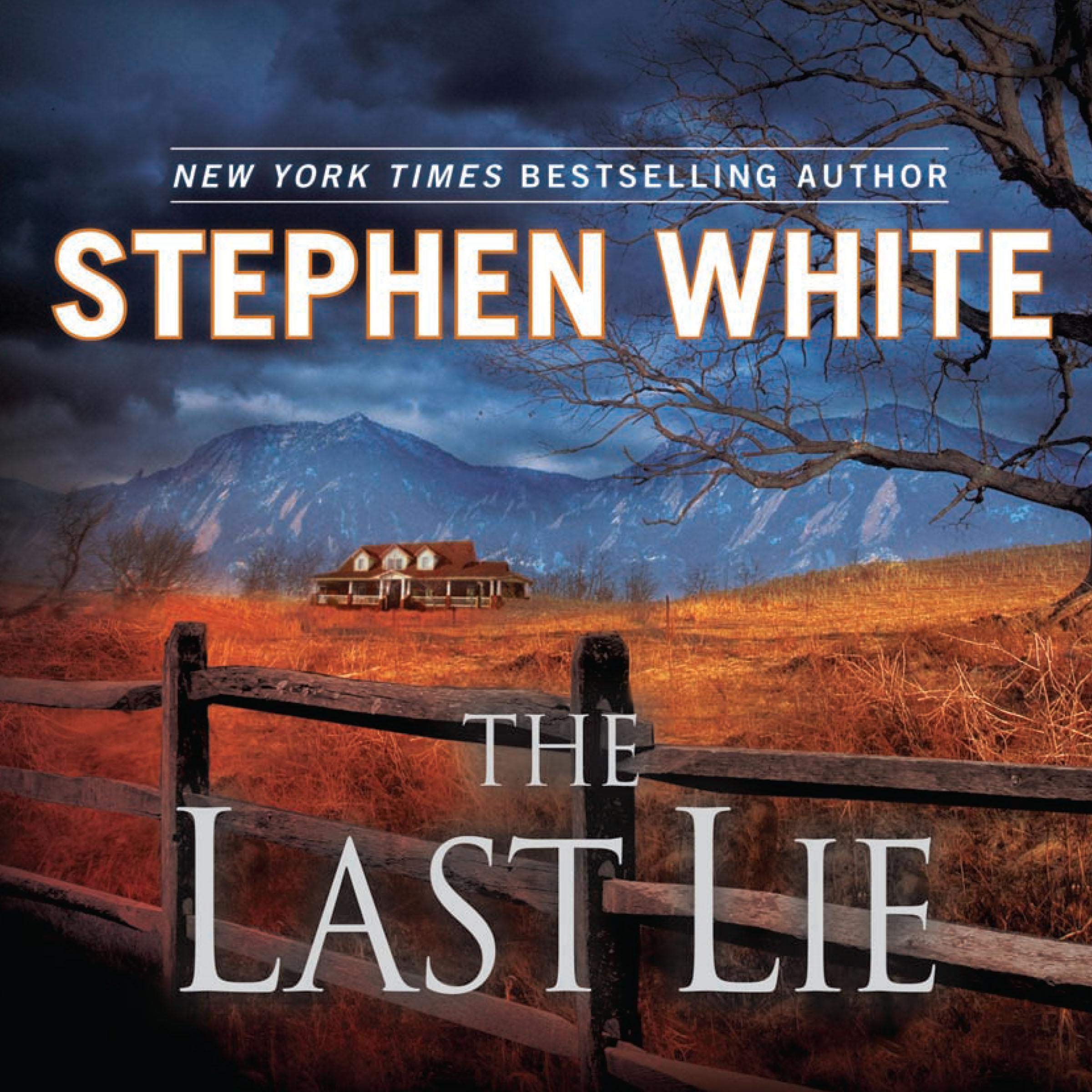 Cover art for The Last Lie