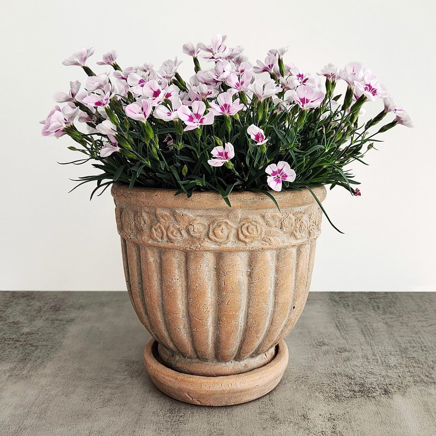 8" Rustic Weathered Terracotta Plant Pot with Saucer, Embossed Rose Pattern Planter with Drainage Hole, Vintage Flower Pot