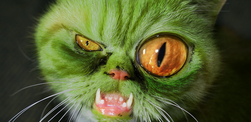 Yarn - Attack of the Zombie Cats. Defend Meow Town, Purfect
