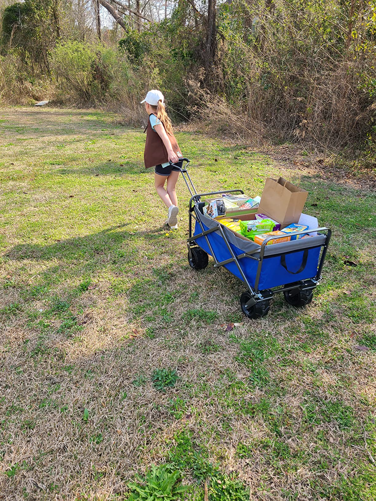 17/mo Finance BLUU Collapsible Wagon Cart, Folding Wagon, Heavy Duty