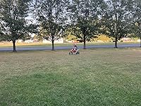 Review Image by Dave G. Dave G.