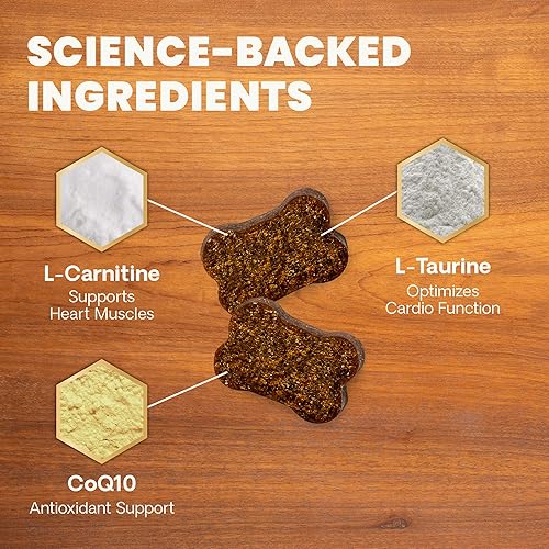 Miniatura 4 de VetriScience Vetri - Suplemento cardiovascular saludable extra fuerte para perros, suplemento de apoyo cardíaco con taurina, carnitina, CoQ10,