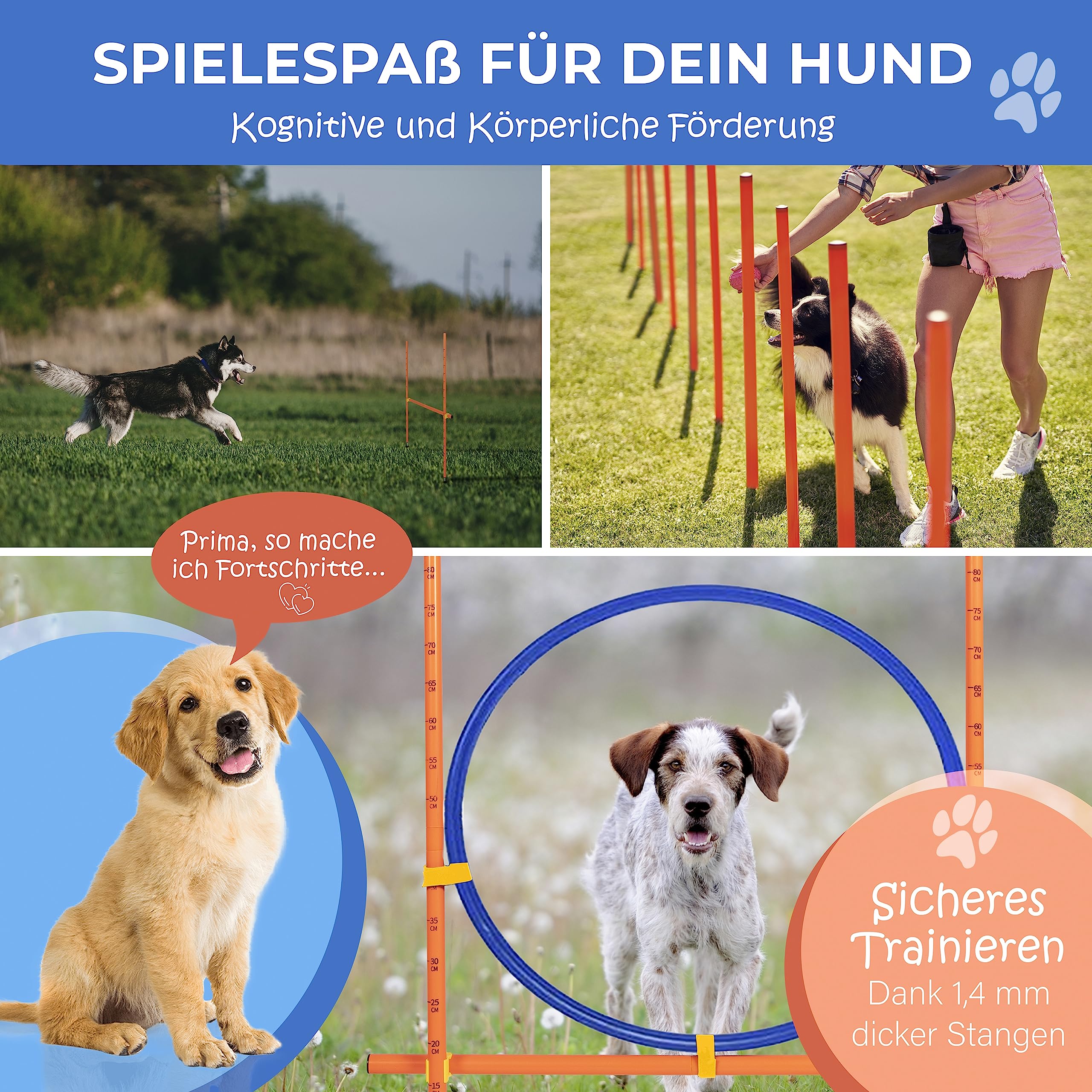 PfotenWunder® "9-in-1 - Agility Set Hunde groß + 21 Min. HUNDESCHULE - 6 Slalomstangen, 1 Tunnel, für kleine & große Hunde, Training Sport Spielzeug Cavaletti Parcour Steckhürdenset Zubehör Hürden