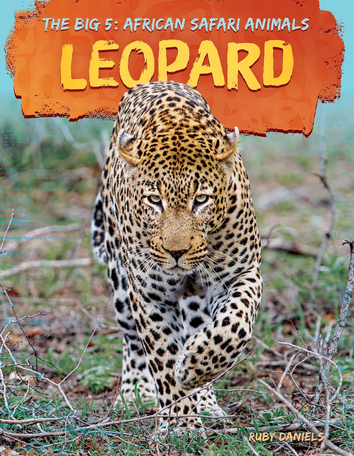 Leopard (Big 5: African Safari Animals)