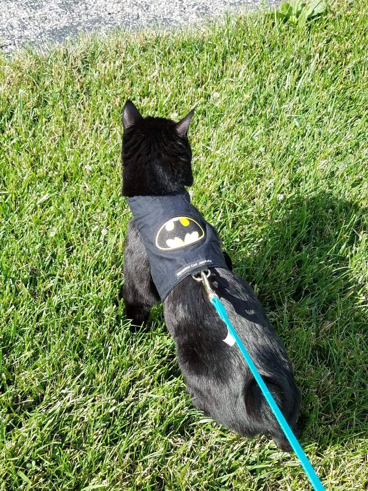 Mynwood Cat JacketMynwood Cat Jacket/Harness Batman Adult Cat