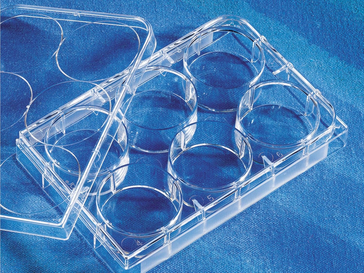 Costar 3506 6-Well Multiple-Well Cell Culture Plates with lid, Treated, sterile, 5/pk