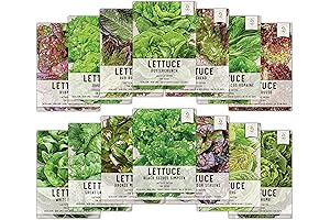 Lettuce Seeds for Planting (14 Variety, Organic, Heirloom)