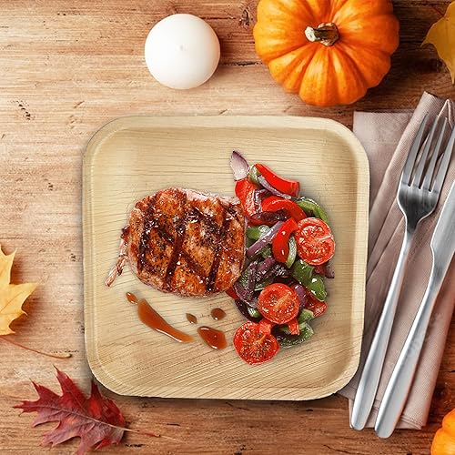 Miniatura 7 de Raj - Platos de hoja de palma 400 unidades Platos cuadrados de 7 pulgadas como platos de bambú desechables fuertes decorativos compostables para