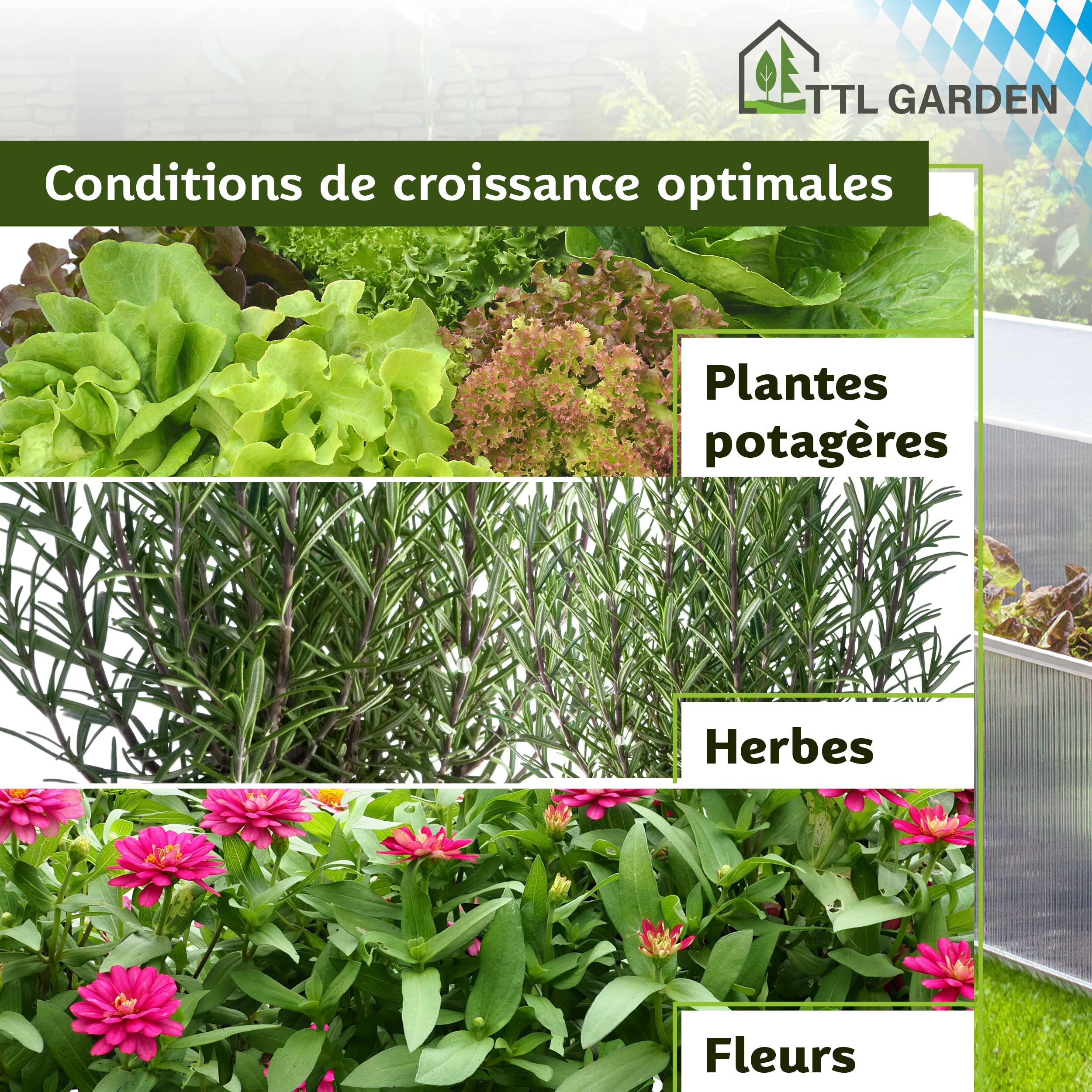 TTL Garden Jardinière en aluminium 40 x 100 x 60 cm – Serre pour plantes, plantation pour légumes, herbes et fleurs, culture et conditions de croissance optimales même en hiver