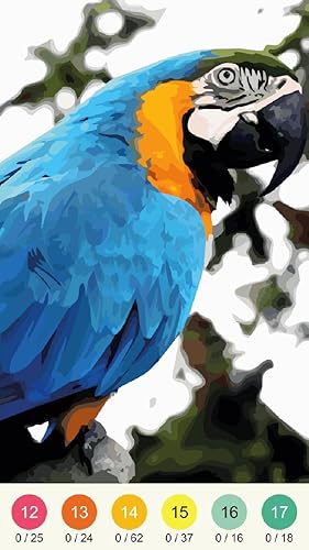 Oil Painting By Wonder Color - Photo By Number #TOP2