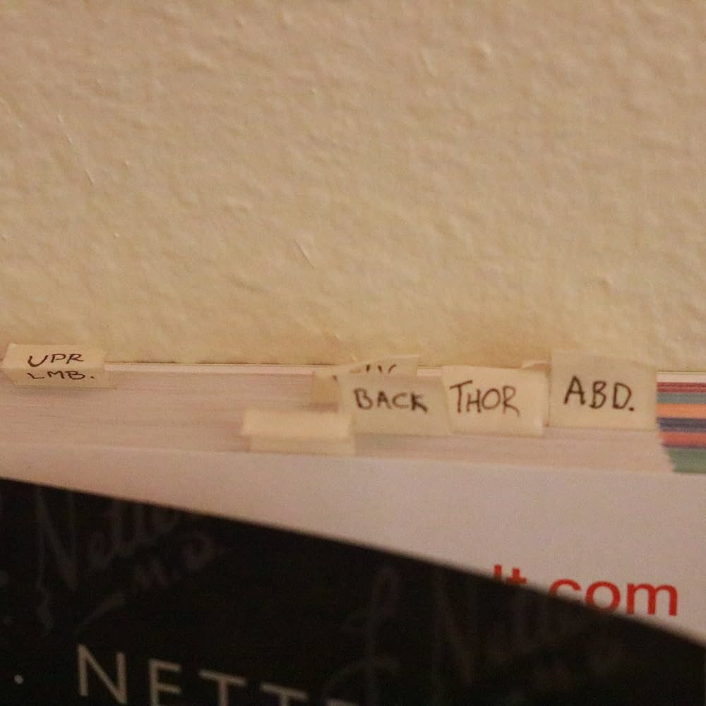 Atlas of Human Anatomy 6e: Including Student Consult