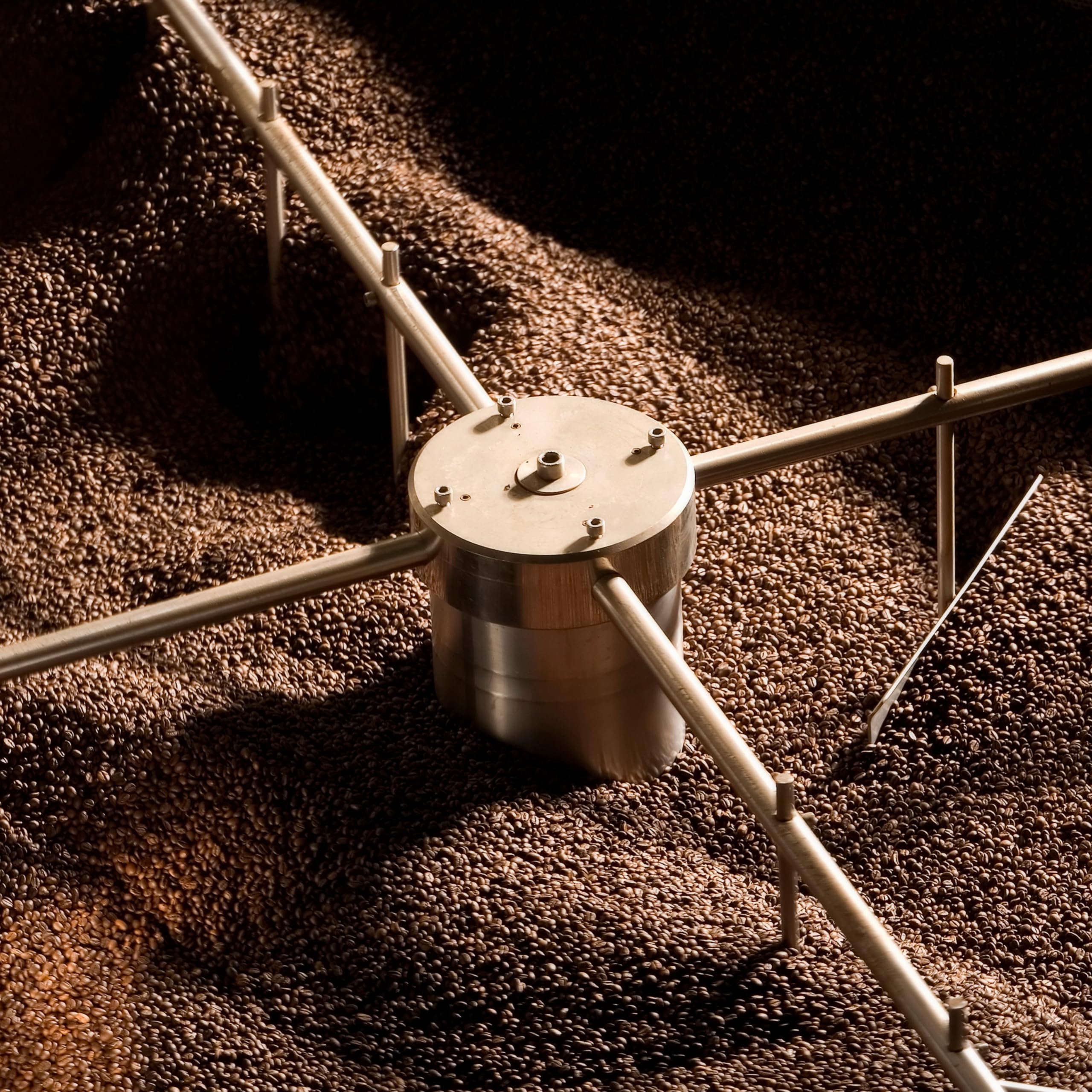 NIK CAFE' - Miscela Classica - caffe in grani tostato. Sua Eccellenza la robusta. 100% Robusta