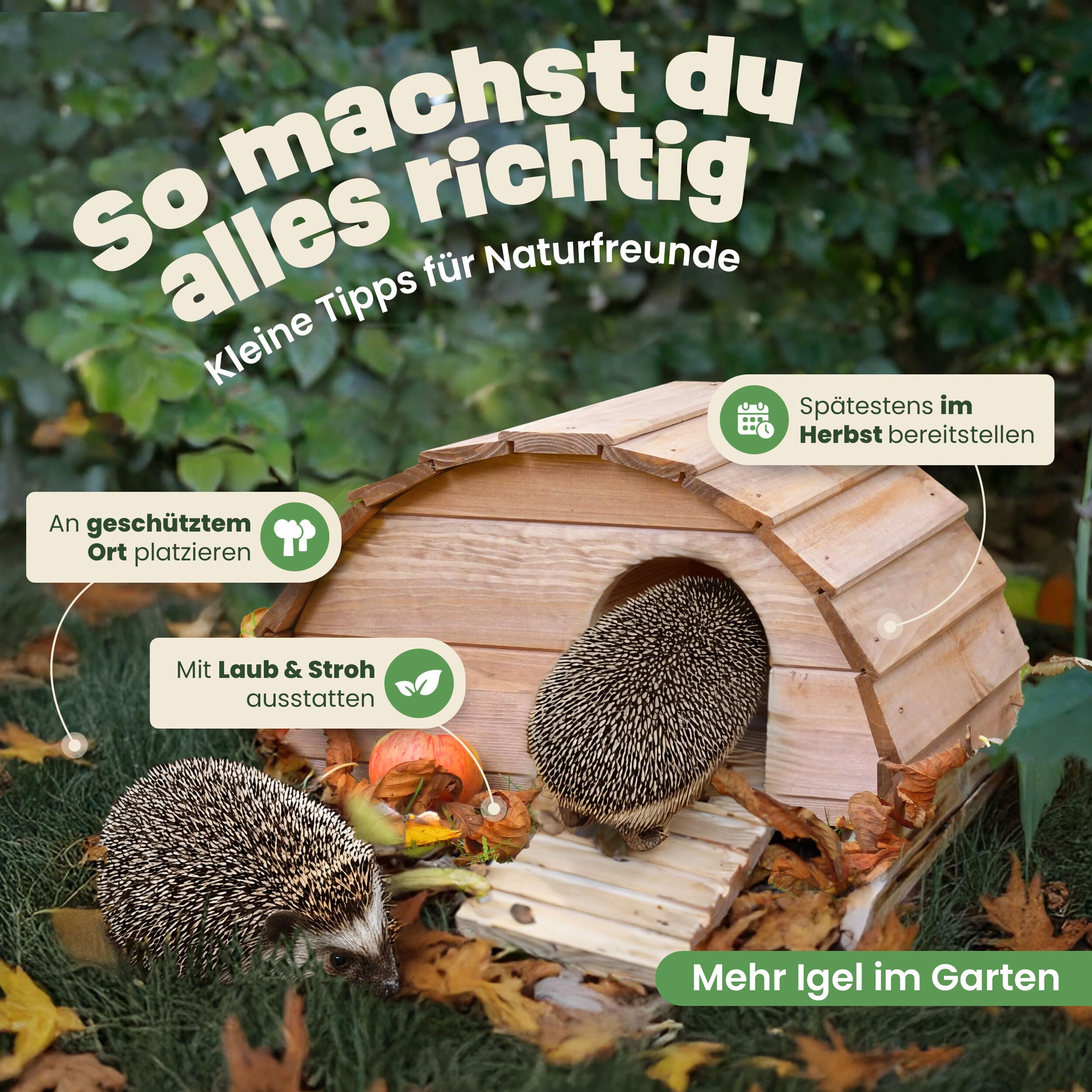 zooprinz Igelhaus aus Vollholz – Winterfest & wetterfest, mit Bodenplatte – Labyrinth-Eingang gegen Räuber – erhöht, warm & trocken – Outdoor Igelfutterhaus für Garten, fertig montiert (Mittelbraun)