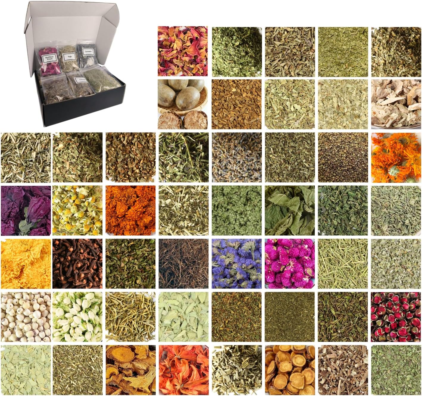 50 Pcs Premium Witchcraft Herbs Collection, Ultimate Dried Flowers Apothecary Kit for Advanced Wicca, Pagan Spells, Divination & Grimoire Restock (10g/Bag)