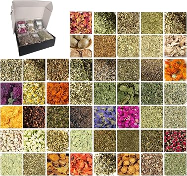 50 Pcs Premium Witchcraft Herbs Collection, Ultimate Dried Flowers Apothecary Kit for Advanced Wicca, Pagan Spells, Divination & Grimoire Restock 10g/Bag