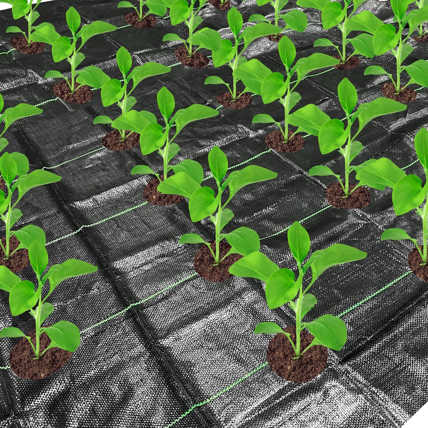 codree 6.5x13ft Garden Weed Barrier Landscape FabricHeavy