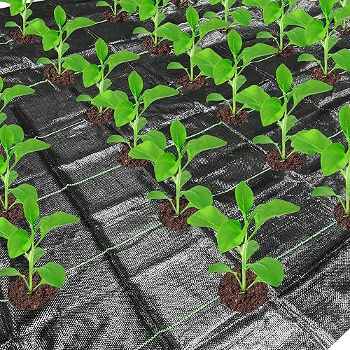 Miniatura 8 de CODREE 2 barreras resistentes de malezas para jardín, tela de paisaje de 13 x 4 pies con agujeros de plantación, tapete de jardinería para control