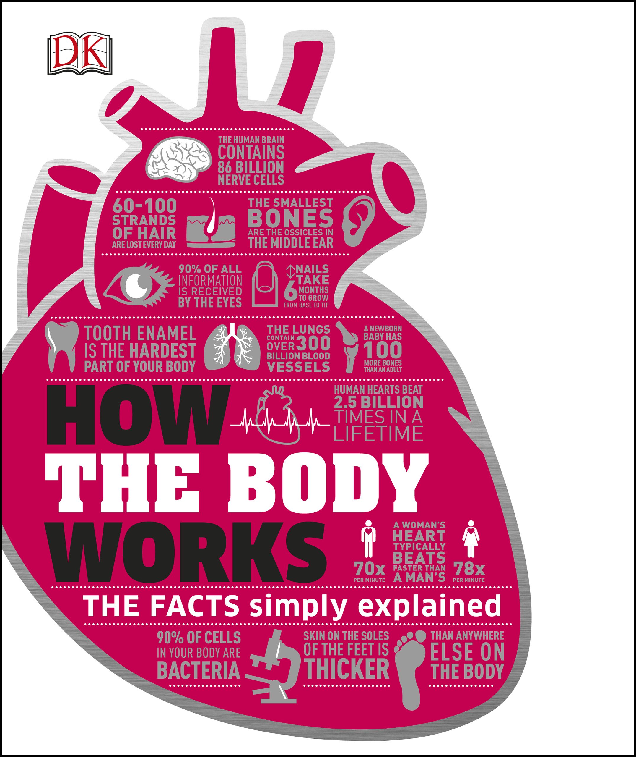 How the Body Works: The Facts Simply Explained (DK How Stuff Work)