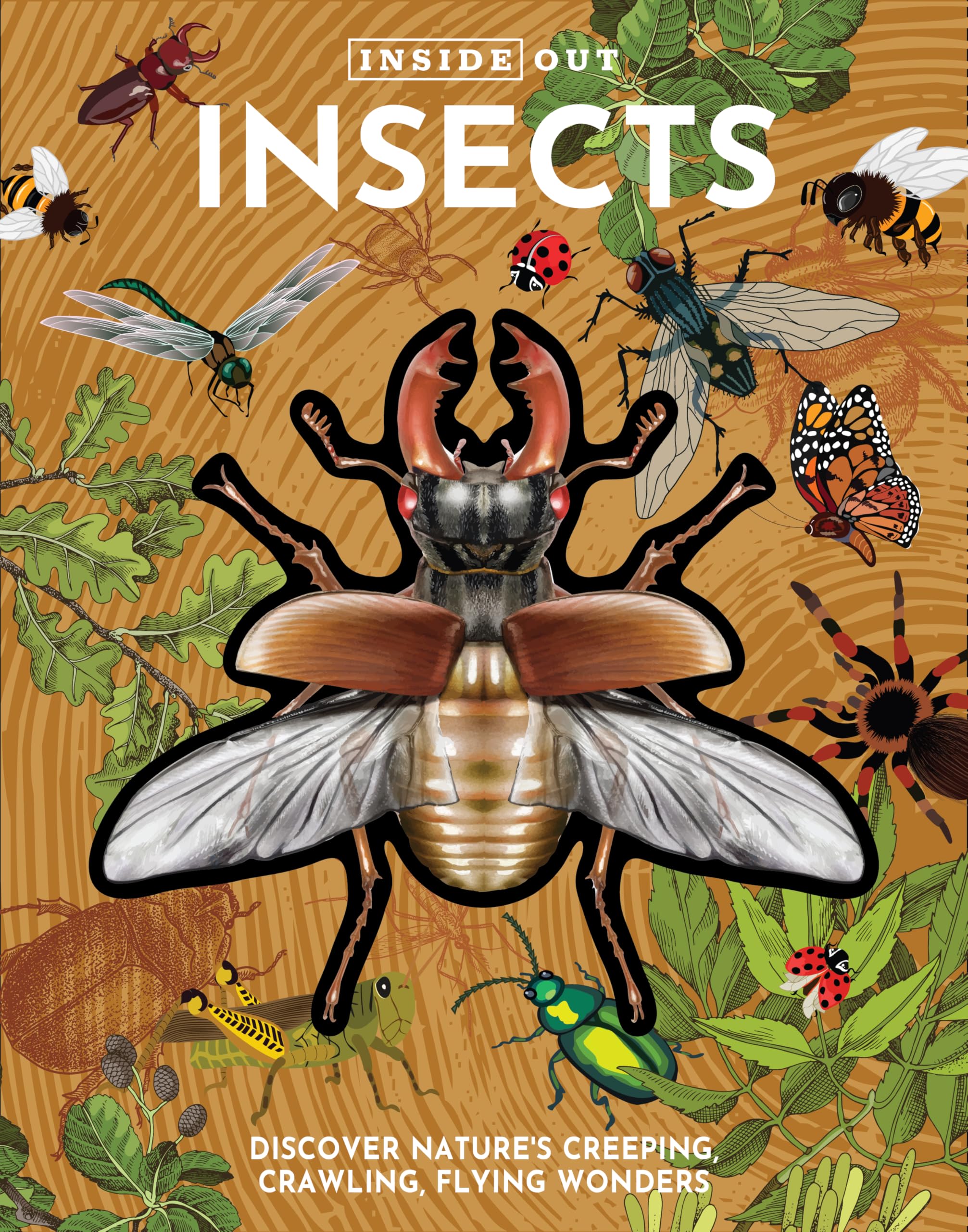 Inside Out Insects: Discover Nature's Creeping, Crawling, Flying Wonders (Inside Out, Chartwell)