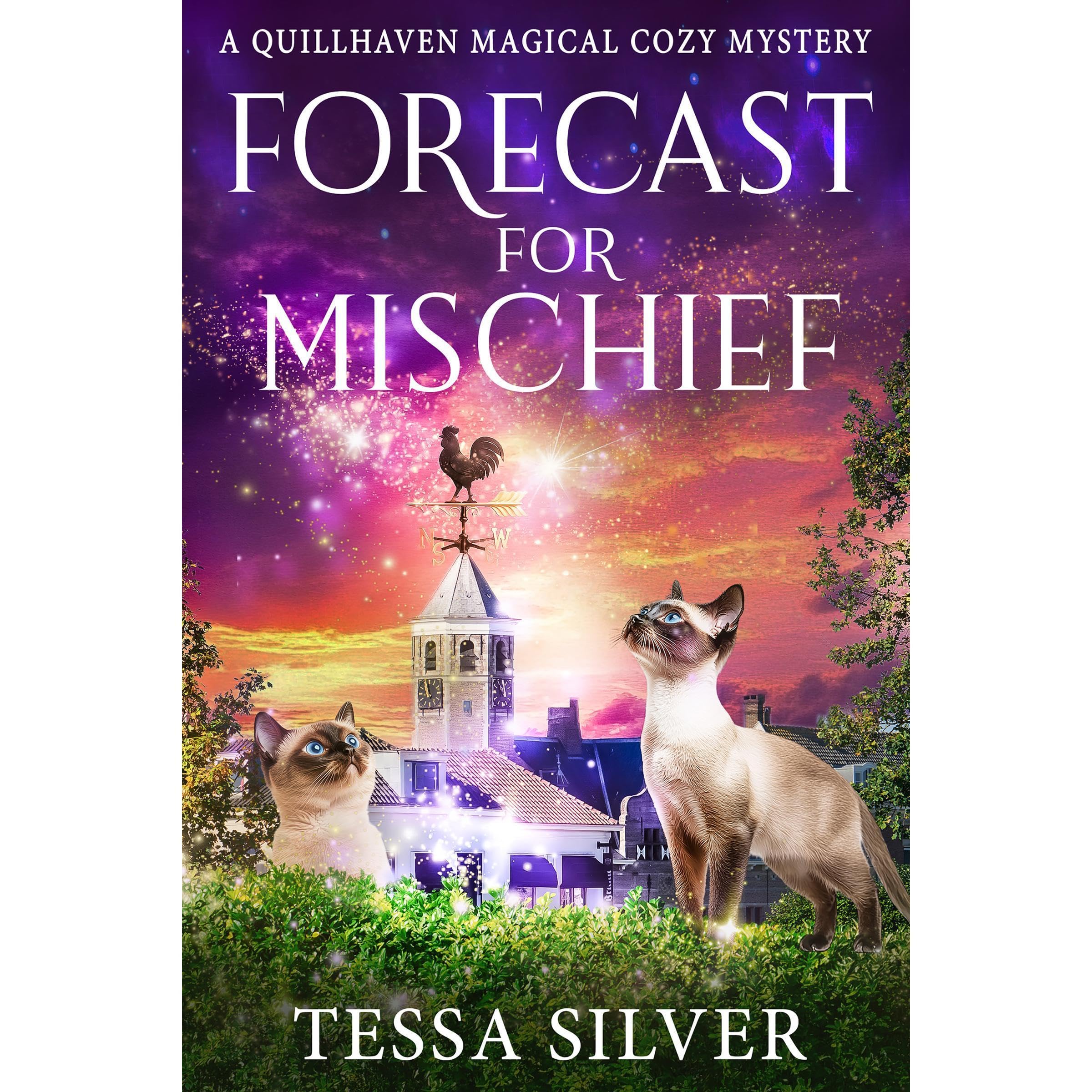 Forecast for Mischief