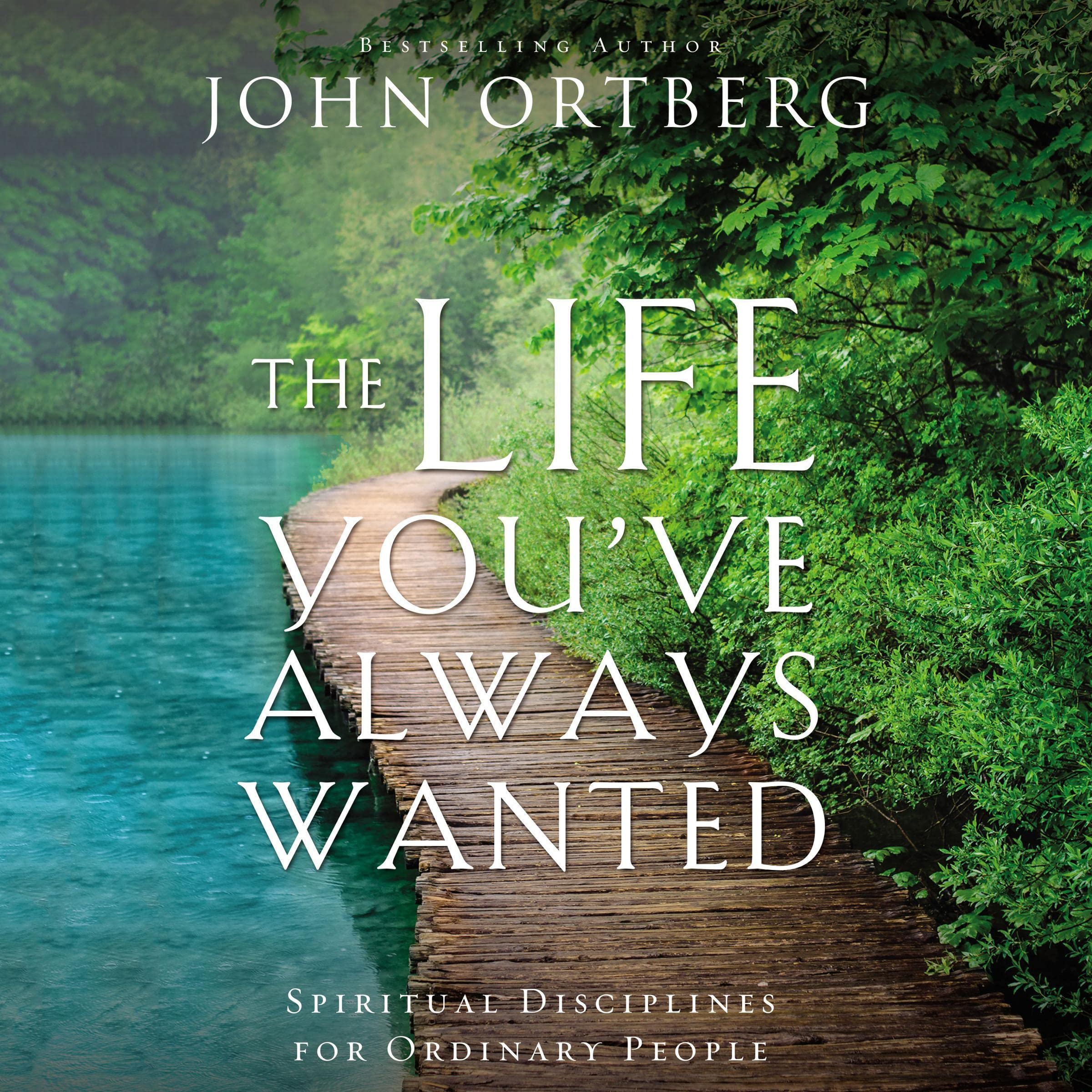 Cover art for The Life You've Always Wanted