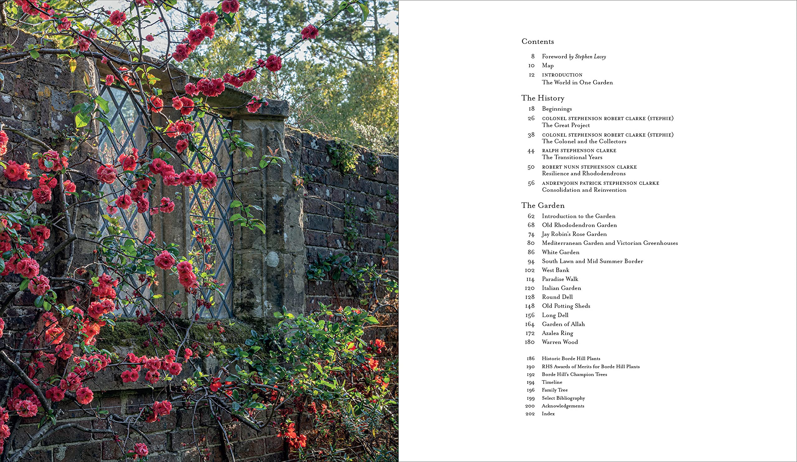 Borde Hill Garden: A Plant Hunter's Paradise