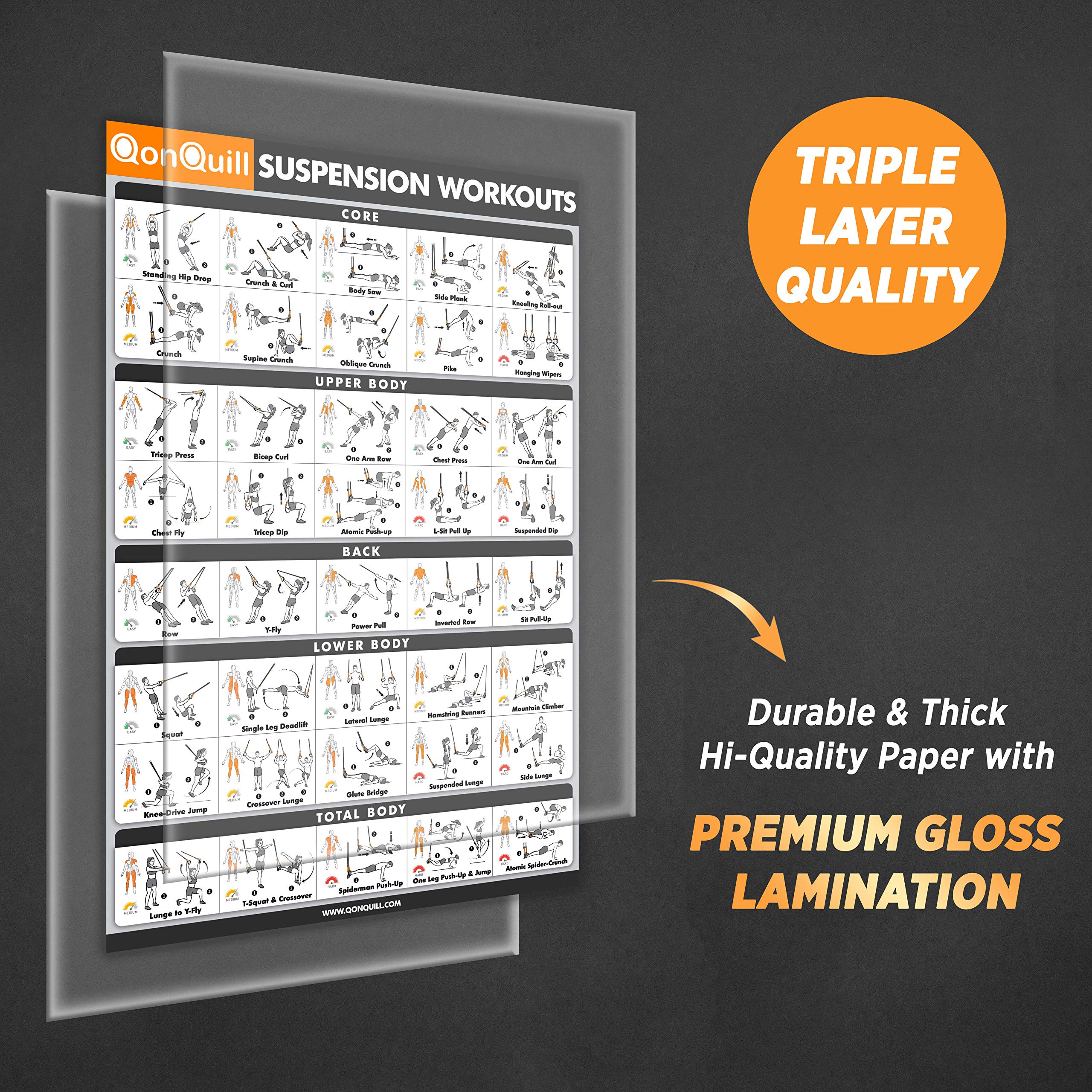 QonQuill 2 Pack Suspension Exercise Poster + Suspension Workout
