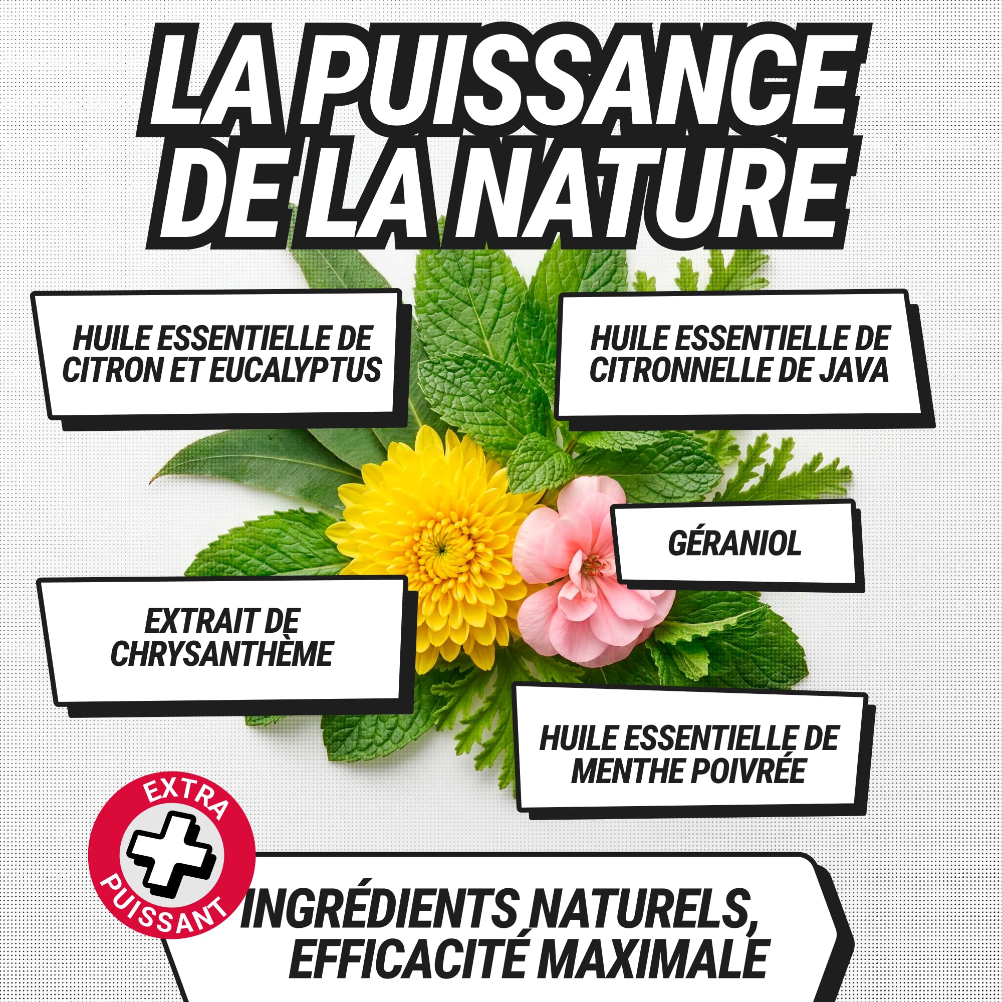 RepellShield® Spray Anti Araignées Maison & Jardin -500ml- Non Tachant, Prêt à l'Emploi, Usage Intérieur & Extérieur - Répulsif Araignée à la Menthe Poivrée, Géraniol, Extrait de Chrysanthème