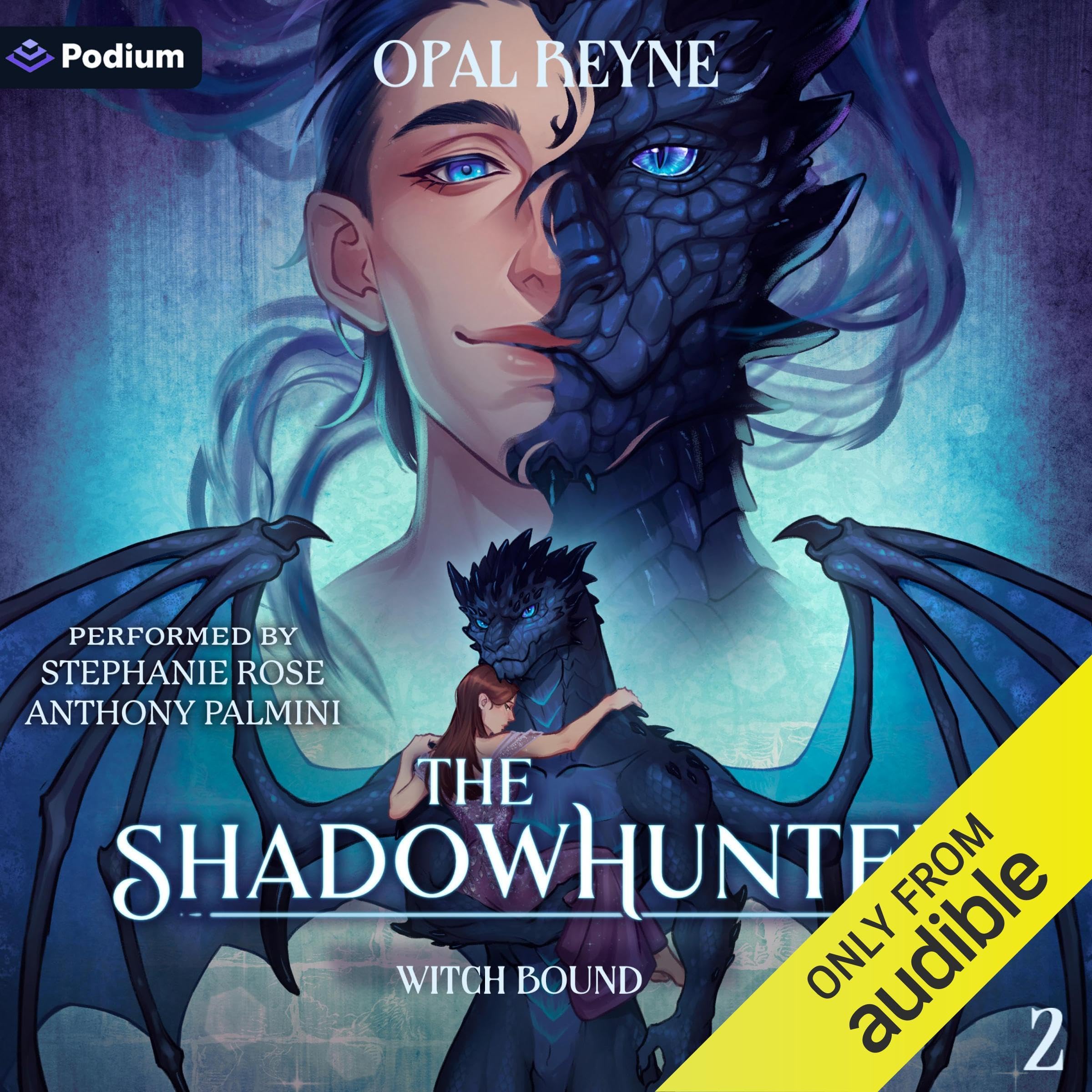 Cover art for The ShadowHunter