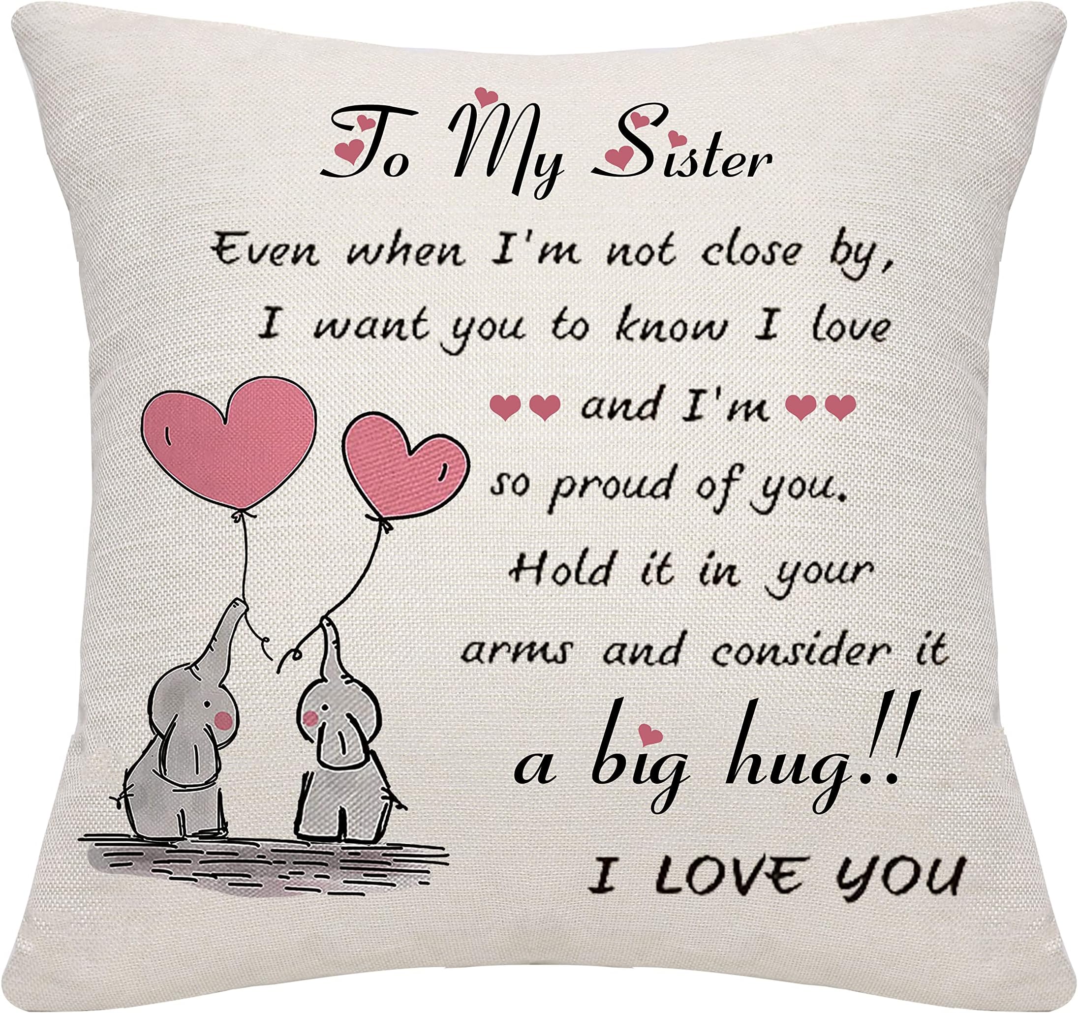 Sister Gifts from Sister Brother Cushion Cover Throw Pillow Cover Birthday Gifts (sister-2)