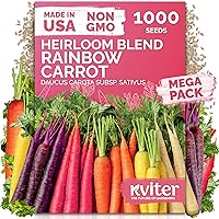 Vista 33 de KVITER 75 semillas de cucamelón para plantar (Melothria Scabra) – Semillas de pepinillo agrio mexicano, pepino de pepinillo, mini sandía mexicana