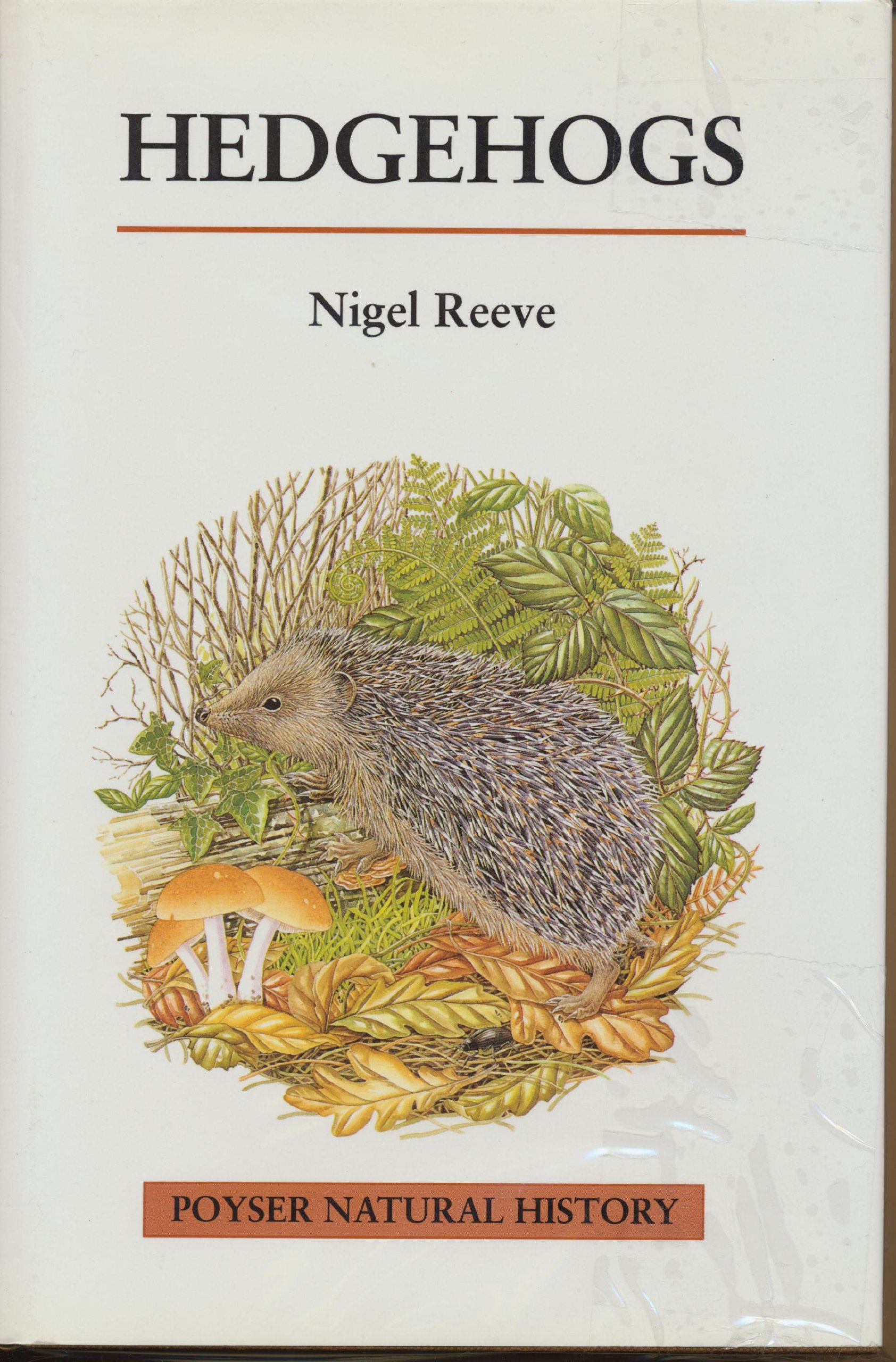 Buy Hedgehogs (Poyser Natural History) — BookShops.in