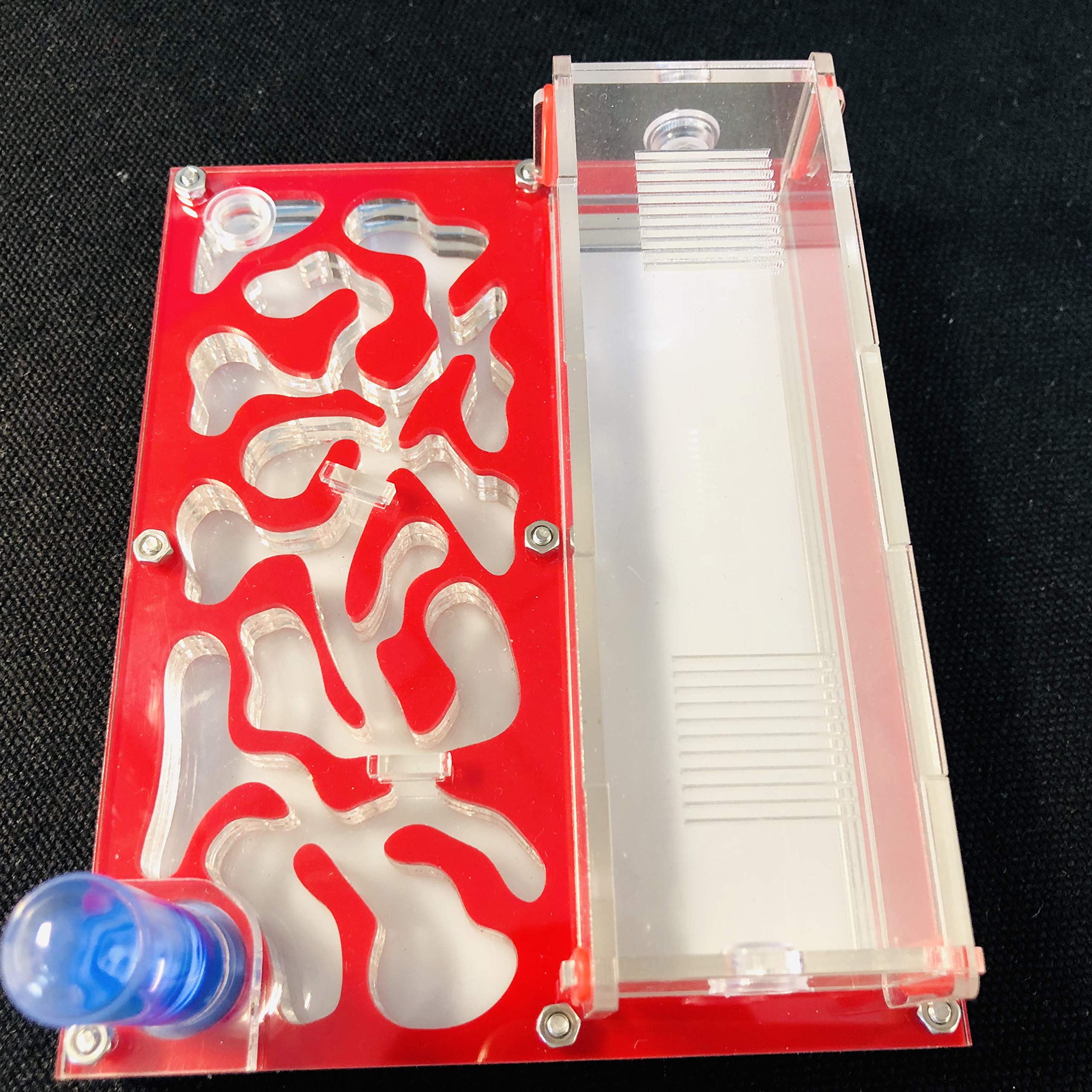 Formicario educativo per Formiche Farm per Prova Formiche Live Umidità Grande Spazio Nido di Formiche in Acrilico, Formiche Insetti (Rosso) - 4