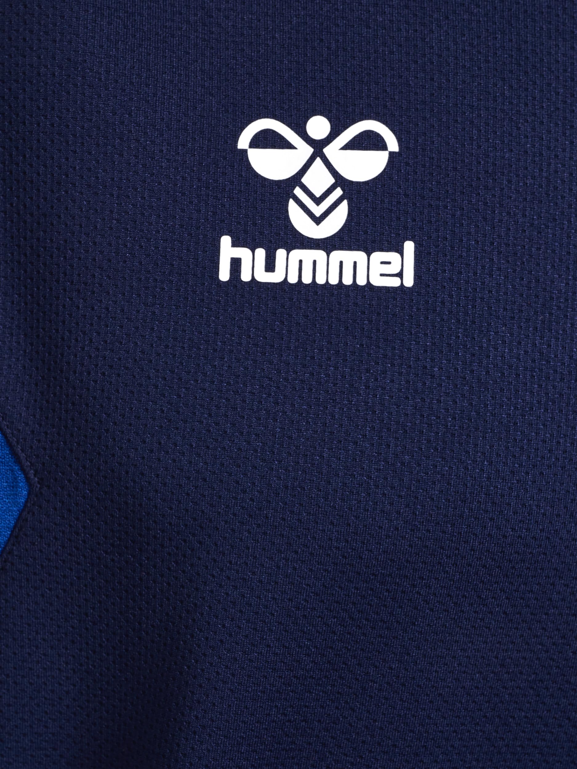 hummel Authentic PL Hoody