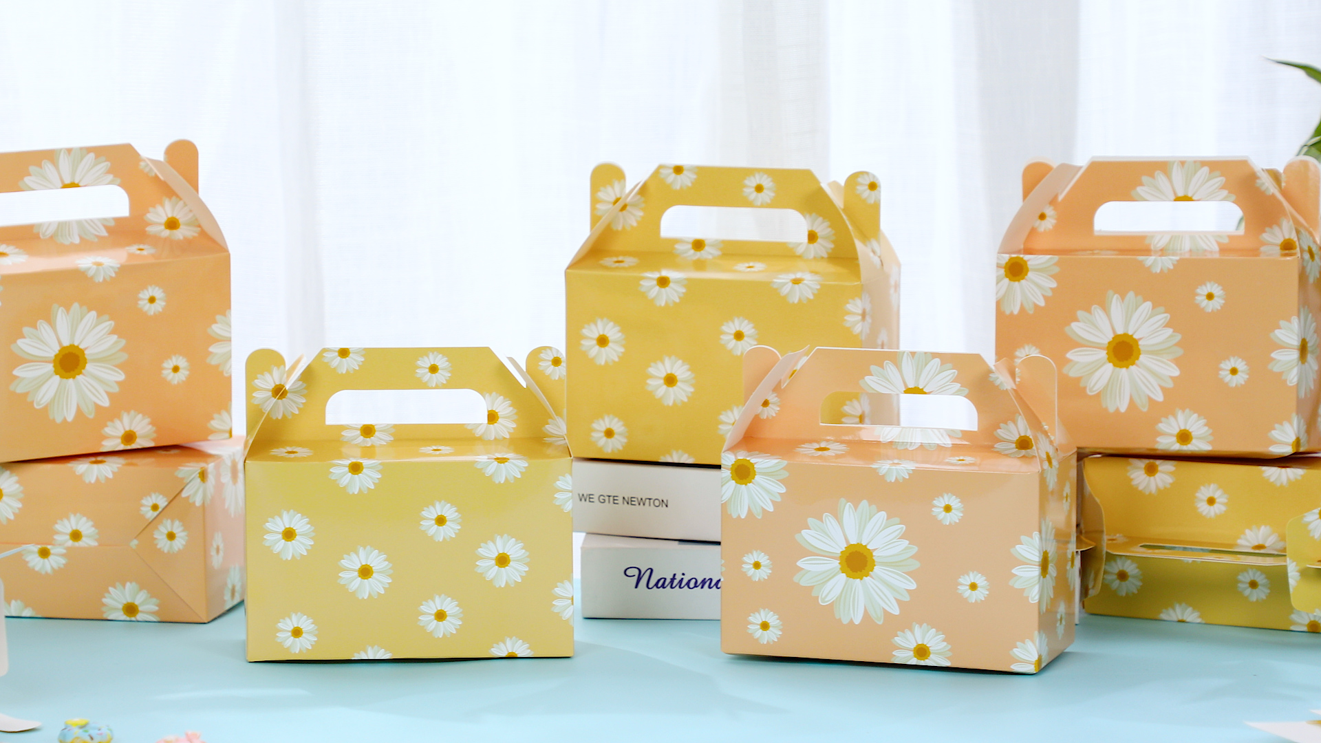 Amazon.com: ZOiiWA 24Pcs Daisy Flower Treat Boxes Party Supplies