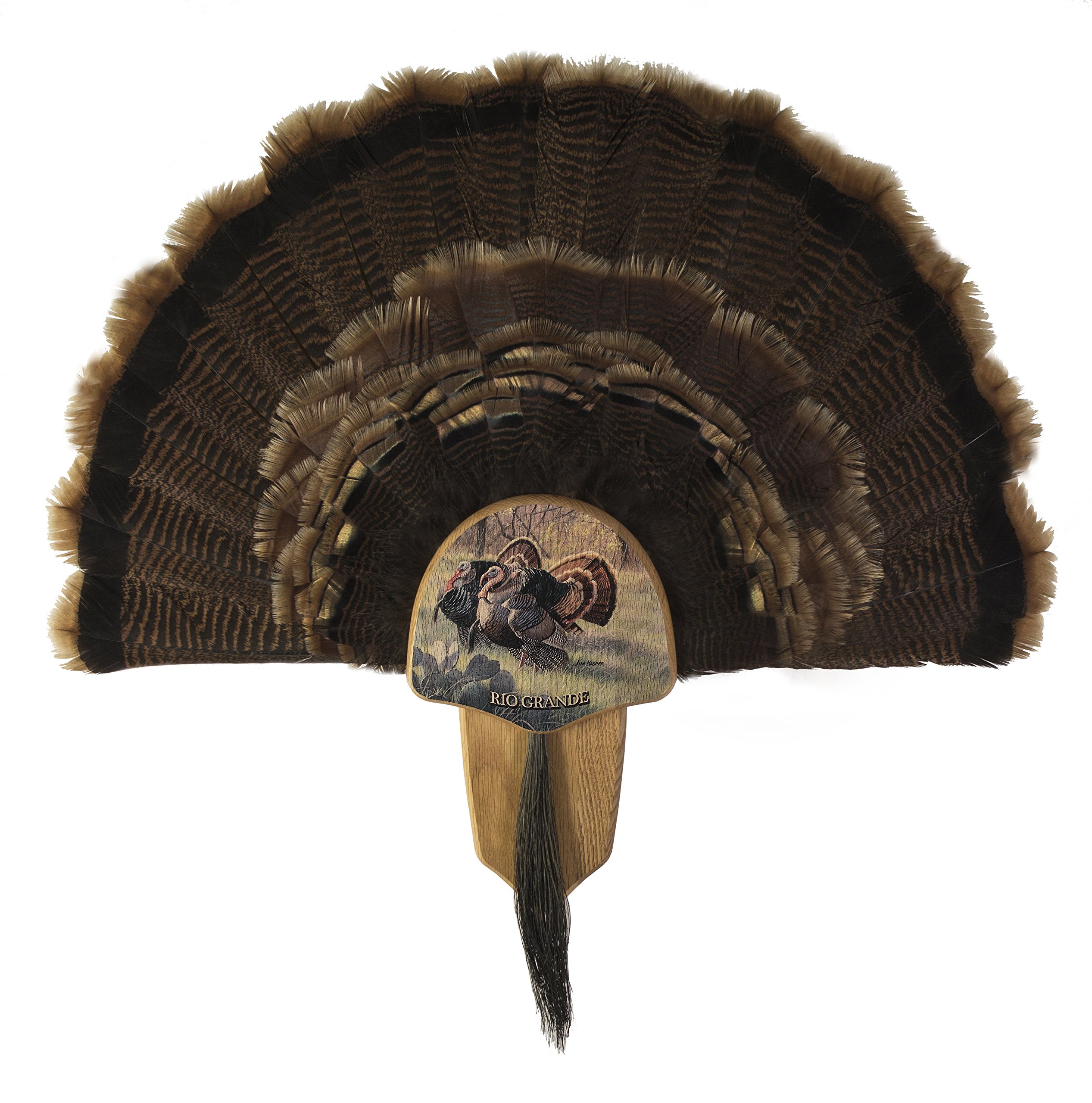 Walnut Hollow CountryTurkey Fan Mount & Display Kit, Oak Grand Slam Series Rio Grande Turkey Image