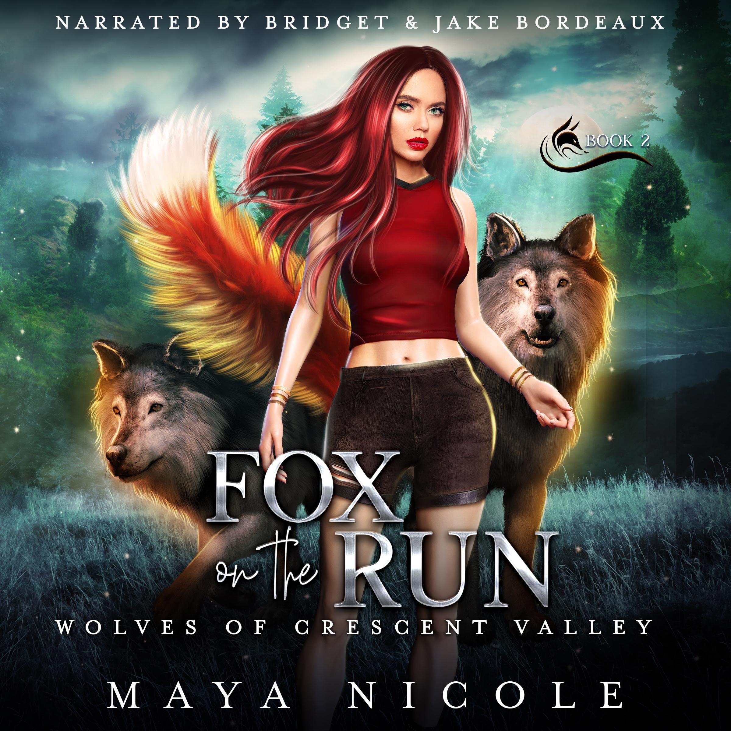 Cover art for Fox on the Run