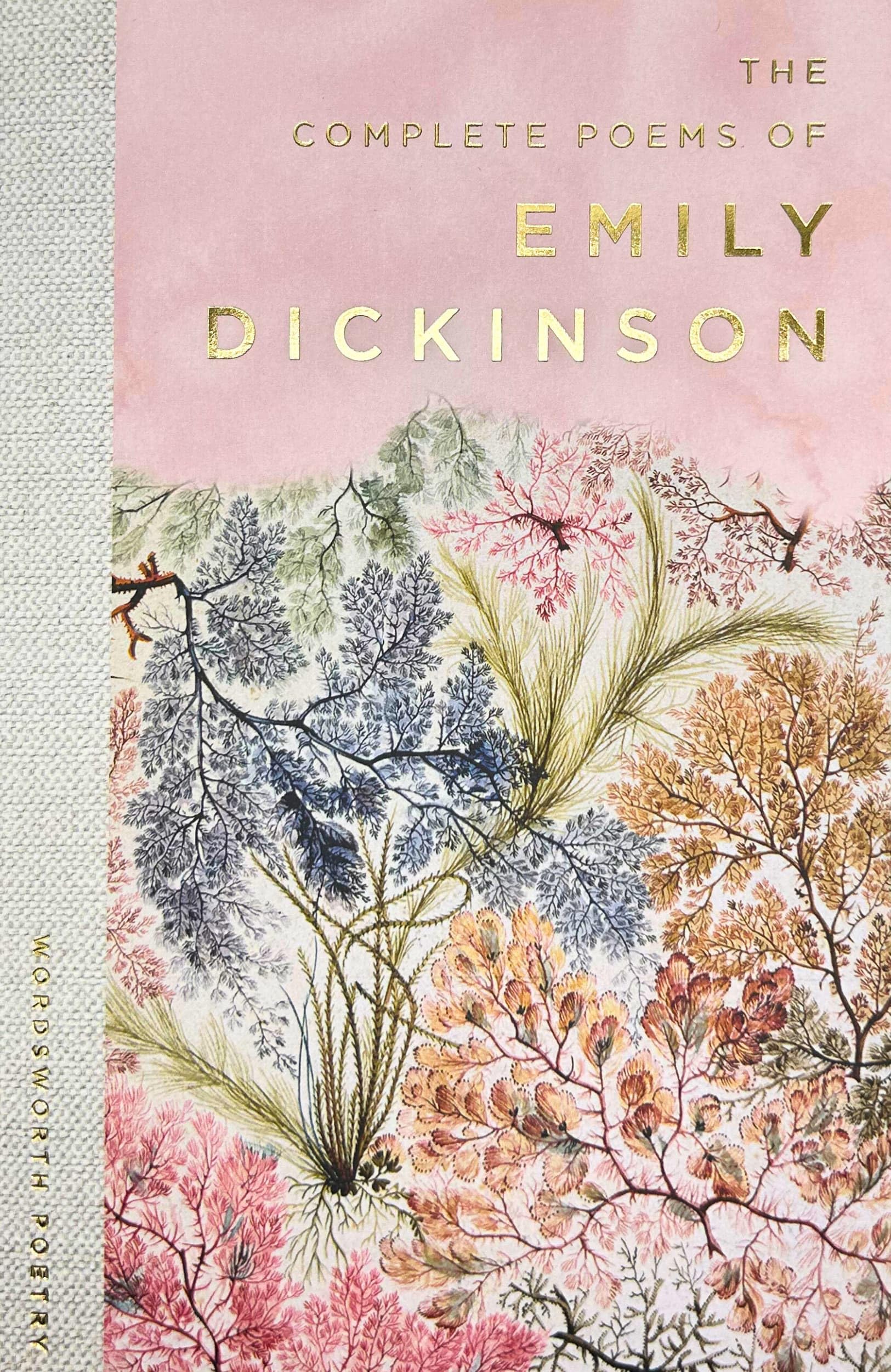 Poems of Emily Dickinson エミリー・ディキンソン詩集 Amazon | The