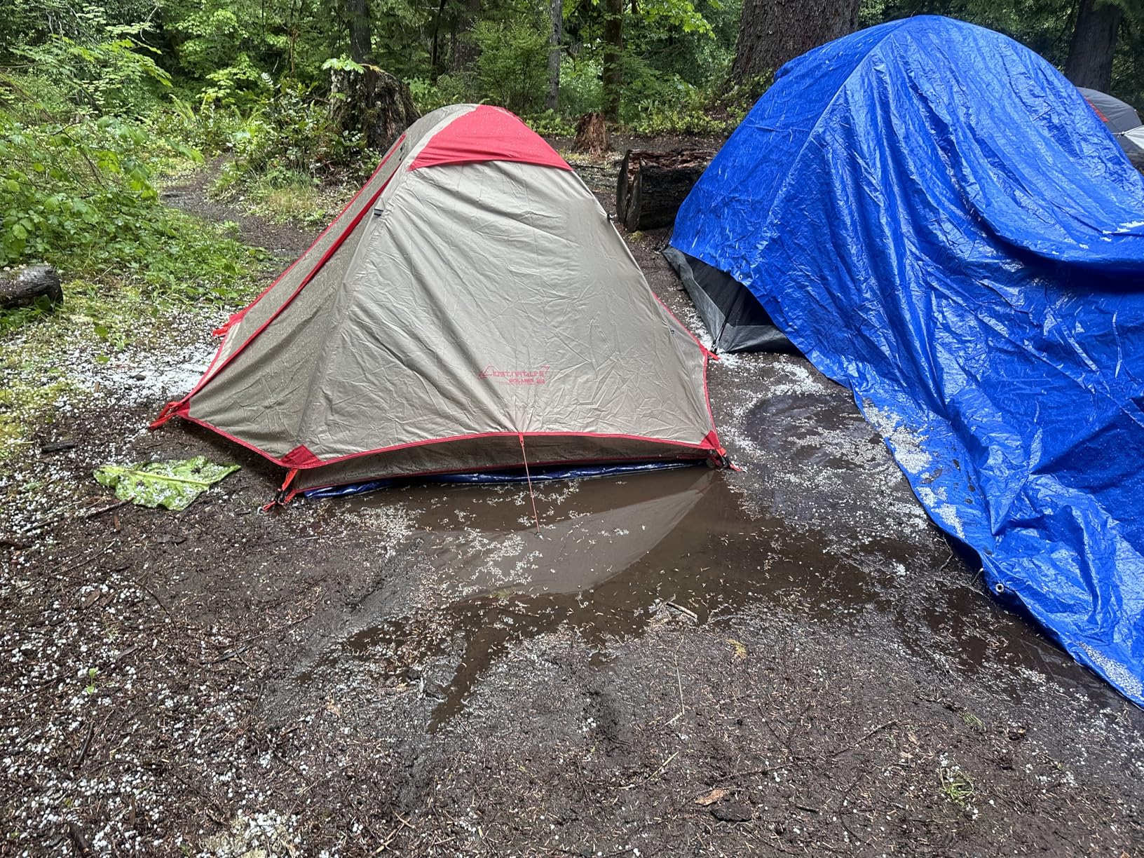 Clostnature Lightweight Backpacking Tent - 1/1.5/2/3/4/6 Person Ultralight Waterproof Camping Tent, 3 Season Large Size Easy Setup Tent for Family, Outdoor, Hiking and Mountaineering customer photo 4
