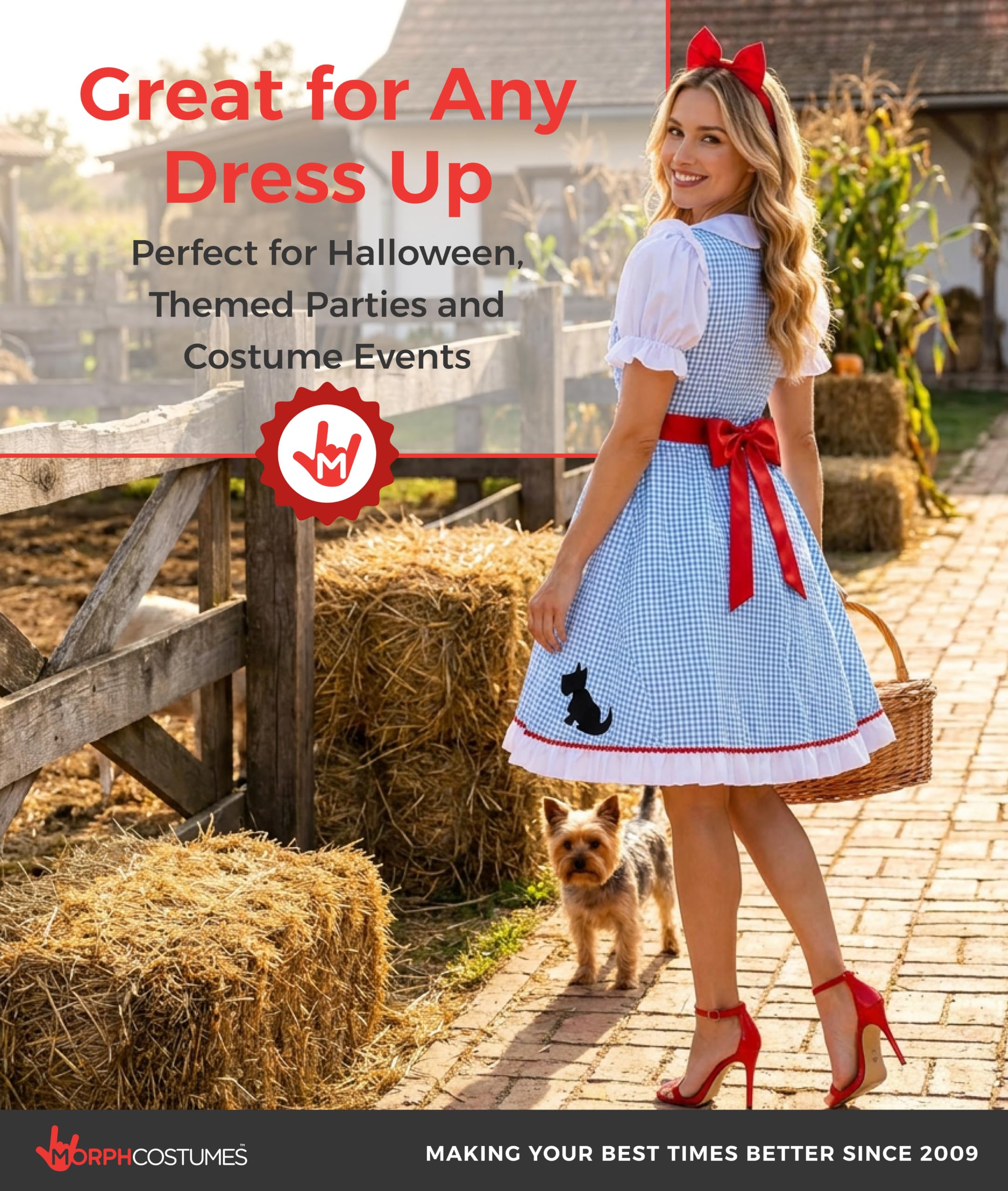 Fun Shack Costume Dorothy Donna, Costume Fiaba Halloween Donna