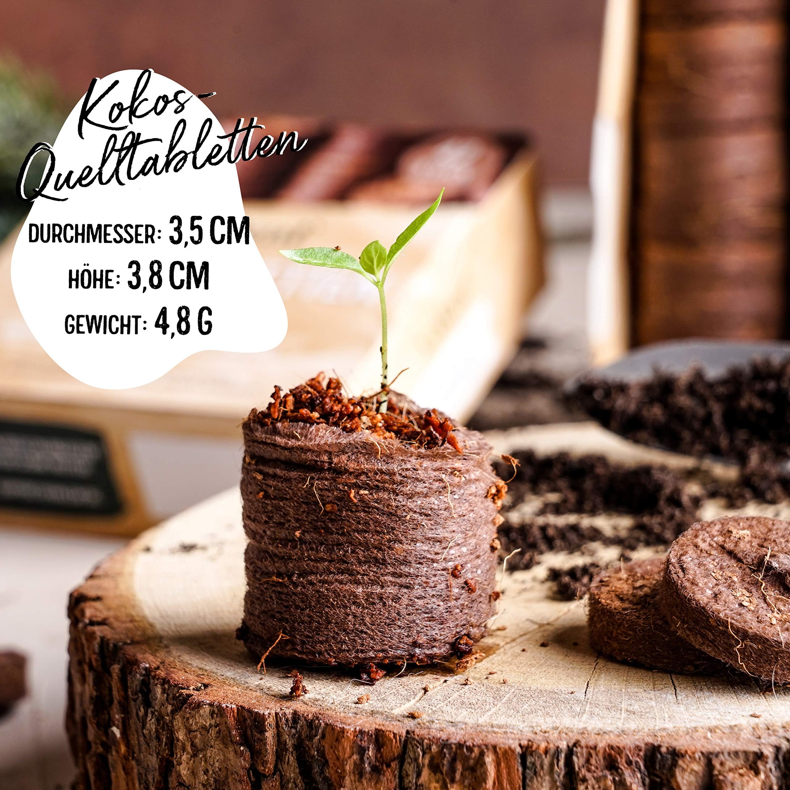 valeaf Pastillas de Coco, 140 Unidades - Tierra de Coco sin turba con Fertilizante Inicial, Tierra Ideal para el Cultivo de esquejes y facilitar el enraizamiento